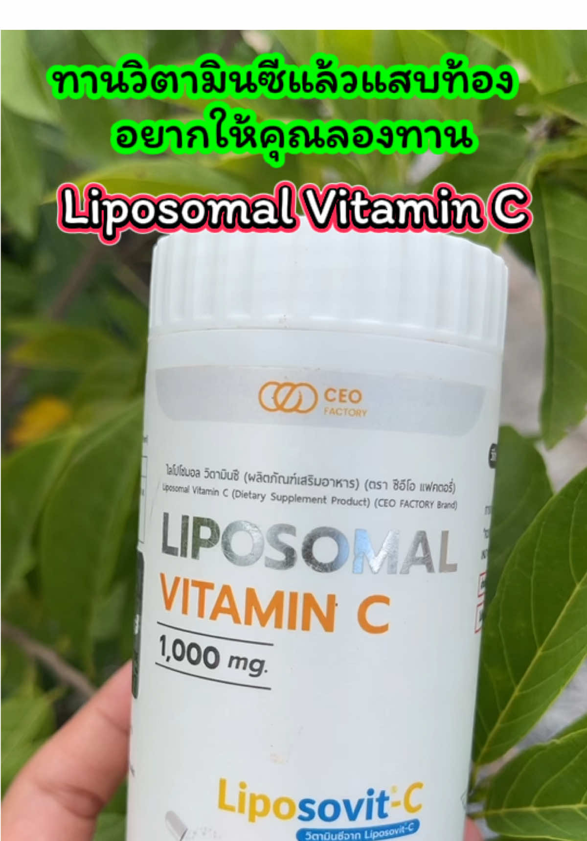🍊 Liposomal Vitamin C (Liposovit-C) 🍊 💊 วิตามินซีรูปแบบใหม่ ดูดซึมดีกว่าวิตามินซีทั่วไป ✅ ทานแล้วไม่แสบท้อง ✅ ดูดซึมเข้าสู่เซลล์ด้วยเทคโนโลยี Liposomal ✅ เสริมภูมิคุ้มกัน ลดหวัดง่าย ฟื้นฟูร่างกายเร็ว ✅ วิตามินซีเข้มข้น 1,000 mg / เม็ด 📌 แนะนำ สำหรับคนที่เคยทานวิตามินซีทั่วไปแล้วแสบท้อง ต้องลองตัวนี้เลย! ⸻ #วิตามินซี #บำรุงสุขภาพ #เสริมภูมิคุ้มกัน #ของดีบอกต่อ #เจ้ฝนบอกพิกัด @เจ้ฝนบอกพิกัด  @เจ้ฝนบอกพิกัด  @เจ้ฝนบอกพิกัด 
