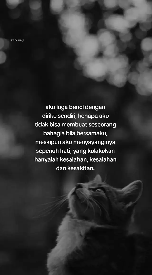 #katakata #vibesonly 