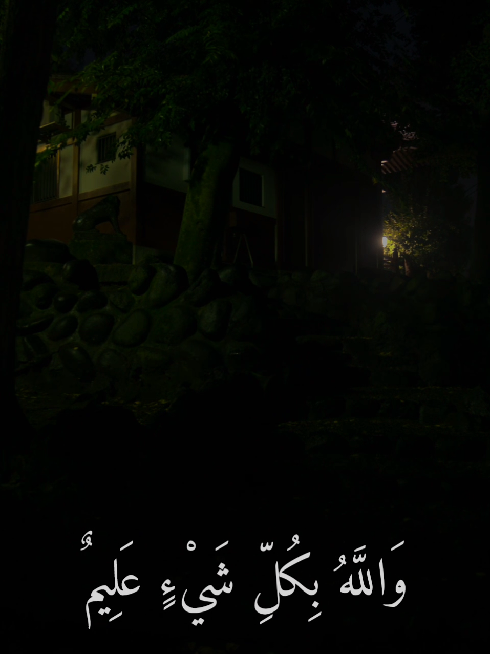 اللَّهُ نُورُ السَّمَاوَاتِ وَالْأَرْضِ  #قرأن #اكتب_شي_توجر_عليه #استغفرالله_العظيم_واتوب_اليه #quran_alkarim #quran 