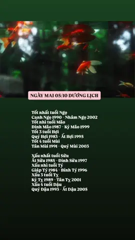 Hoan hỉ đón nhận 🌿