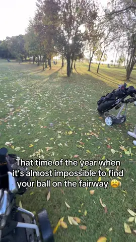 👀🏌️⛳️ #fyp #golf #help #wintergolf #lost 