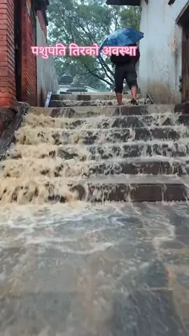 #anitasharma👸 #😭😭😭😭😭😭😭😭😭😭😭😭 