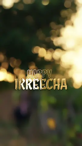 Happy Irreecha @yonan 🦁 @Barrikoo Entertainme @Oftane F Henk @liyos_bro @Director jo  #oromotiktok #oromomusic #oromotiktok❤️💚❤️ethiopiantiktok #yonanbiruk #fyp 