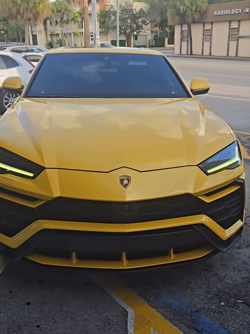 #laputabestia #yorkjoyeria #parati #yorkjoyeria👑 