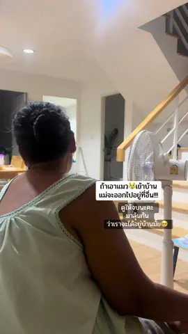 เมื่อแม่จับได้ ว่าแอบเอาแมวมาเลี้ยง🥹🥹🥹#แม่ไม่ให้เลี้ยงแมว #ทาสแมว #แมวน่ารัก #แมว #สัตว์เลี้ยงtiktok 