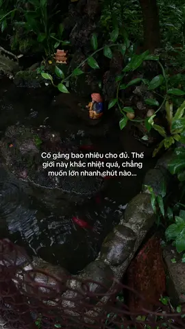 …#tamtrang #story 