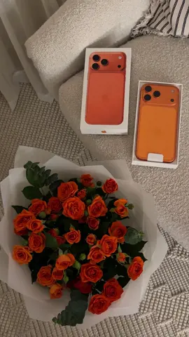 الله لا يحرمنيٓ 🧡🧡 #ايفون17برو_ماكس 