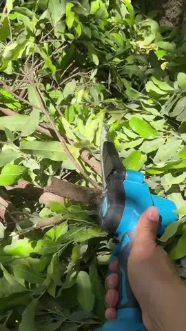 Mini motos erra com duas baterias de lítio de 48 V da Genai #videosviral #tiktokshop #motosserra 