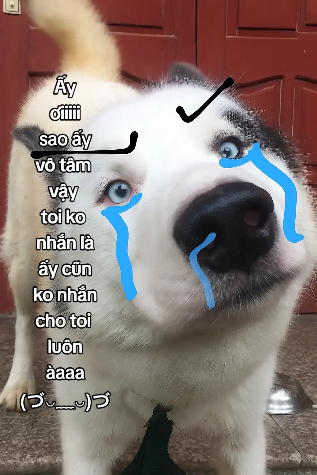 cô ấy vô tâm quá đi ⊂(・﹏・⊂) #nhớem #xuhuongtiktok #xuhuong