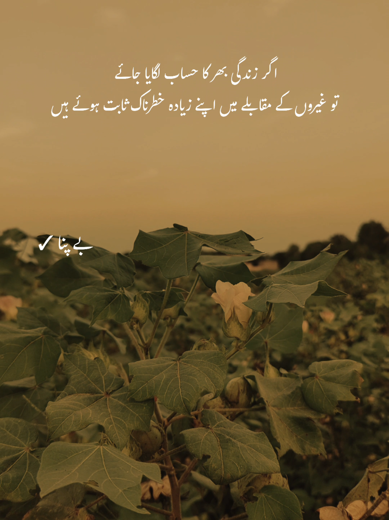 Deep words ❤️‍🩹 #1millionaudition #asthetic #poetrystatus #foryou #fypp 
