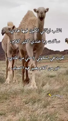 #ابن_العمده✌️ #عالفاهق💔_ليبيا_ #عالفاهق💔_ليبيا_طبرق_مطروح_بنغازي_درنة #