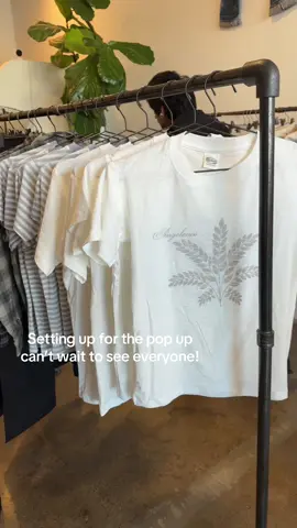 #popup 