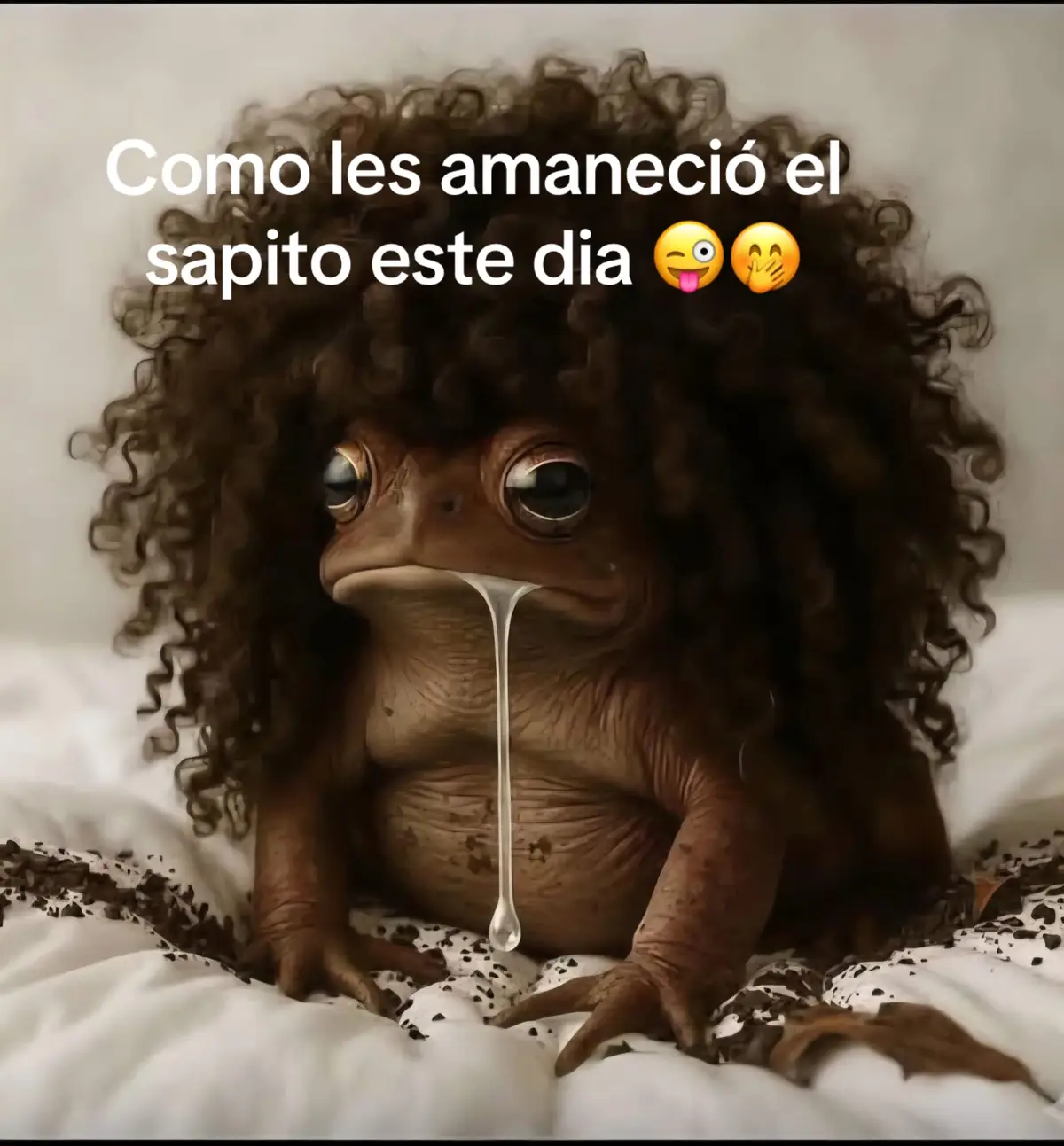 #paratiiiiiiiiiiiiii#Humor#sapito#mojado#