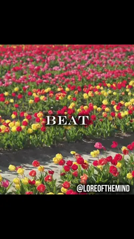 Don’t Beat Yourself Up Over Past Mistakes 😁 #hopelesscore #mindset #fyp #SelfCare #motivation 