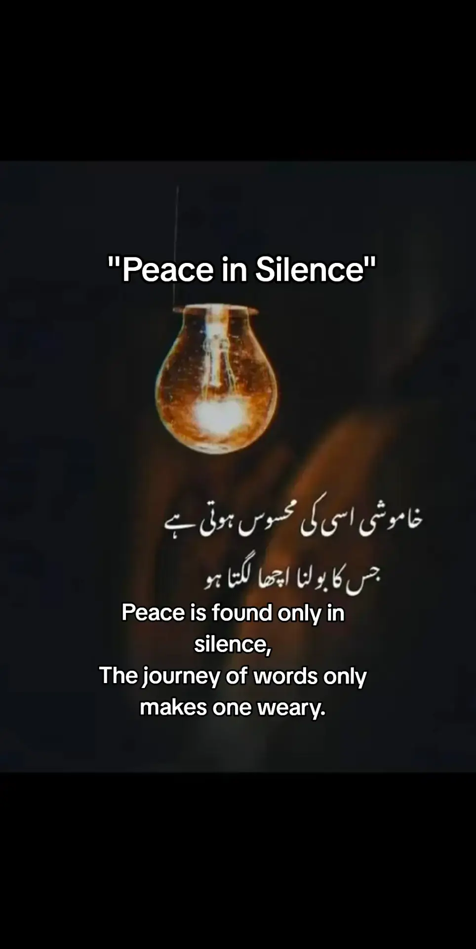 #viraltiktok #treanding  #Silence #Peace #CalmMind #WisdomQuotes #LifeTruth