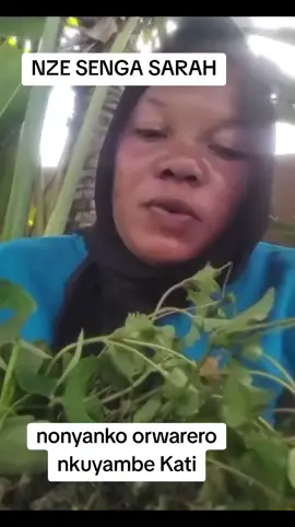 #newtrendingvideo #tiktokkampalauganda🇺🇬🇺🇬🇺🇬 #tiktokuganda🇺🇬🇺🇬🇺🇬 #goviral #foryoupage 