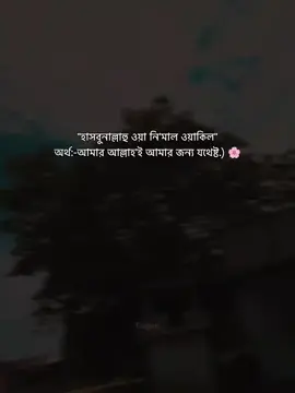 হাসবুনাল্লাহ ওয়া নি মাল ওয়াকিল,,,,,#foryou #islamic_video #trending #foryoupage❤️❤️ 