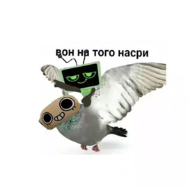 I don’t know how to describe it ( #shelly #vee #shellvision #berryvision #moonshell #typppppppppppppppppppシ #recommended #активчик #dandysworld #актив #шип 