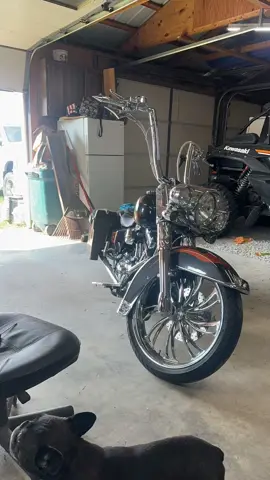 Toughen up buttercup! Ha ha I can be both but been forced to do it all and not gonna settle for less. #fyp #toughenup #harleydavidsonroadking 