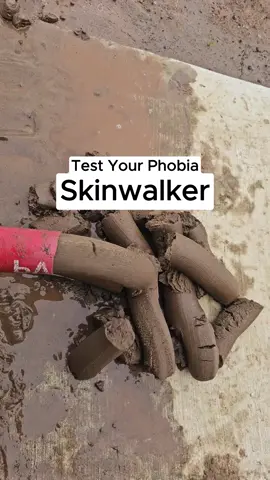 Test Your Phobia - Skinwalker😱 #fyp #interesting #viralvideo 