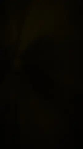 #trungthu2025 #CapCut 