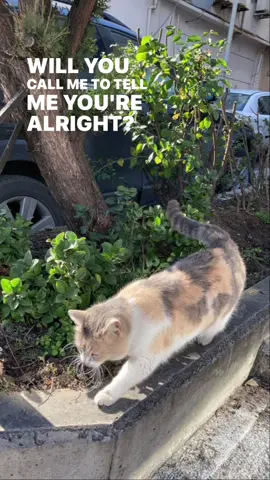 #safeinside #jamesarthur #song #lyrics 