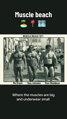 ✈️ 🛫🛬🛩️🌎