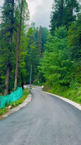 Nathiagali#foryou #shahbaz_sajid🔥 #foryoupage❤️❤️ #alpineresort #fyp 