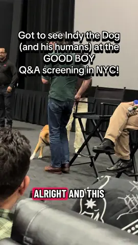 I got to see Indy the Dog and his parents, Ben Leonberg and Kari Fischer at the GOOD BOY Q&A screening in NYC!!! Indy truly is the best actor of our generation and the film showcases an entirely new genre of filmmaking: a dog’s pov. I beg you to see GOOD BOY in theaters now! @shudder @AMC Theatres #goodboy #indythedog #horror #horrormovie #shudder 