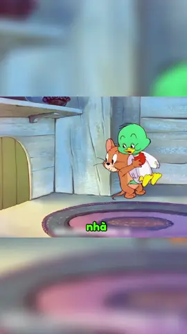 Jerry và chú vịt cổ xanh bị thương | phần 2 #hoathinh #cartoon #tomandjerry 