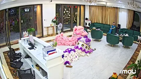 Lại còn ăn vạ nhau nữa, nhọc ghê à nha 