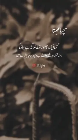 #grow #pageforyou_🔥 #tiktokviral 