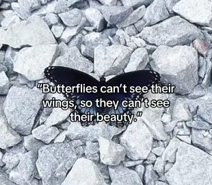 Pt 3 | there gorgeous #trend #fyp #butterly #beauty #selflove 