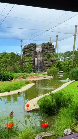 #singapore🇸🇬 #fypシ゚viral 