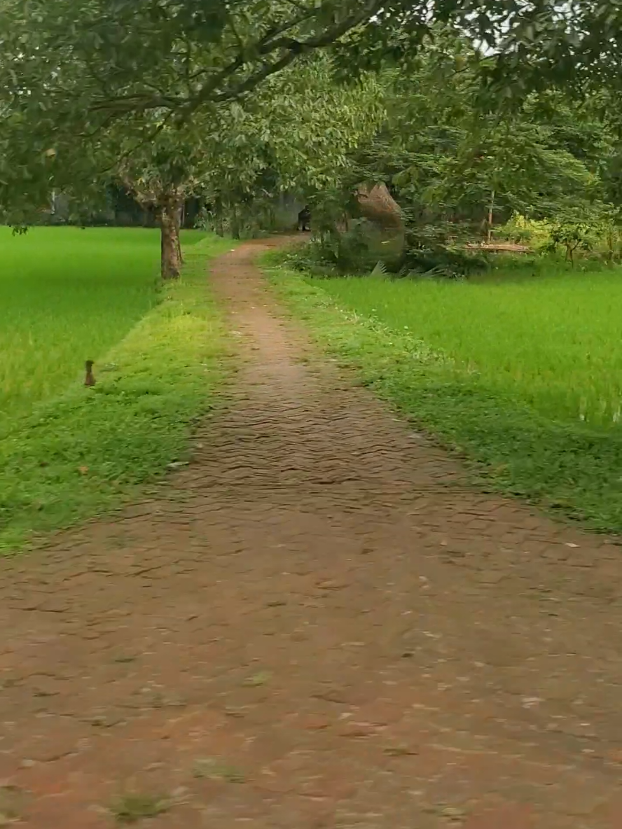 যত পারো দিয়ে যাও আঘাত আমায়। 