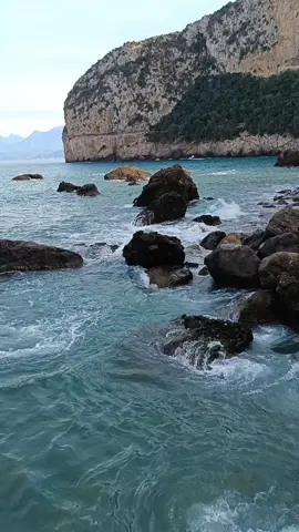 #imazighen #kabyle #toulmonde 