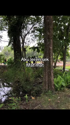 #storywa #fyp #trending 