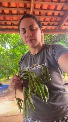 #tiktokcrentes #tiktokviral #adoracaoelouvor 