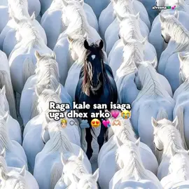 Ma isago kale🥺🫂❤️🫶🏼#foryoupage#fyp#veiwsproblem 
