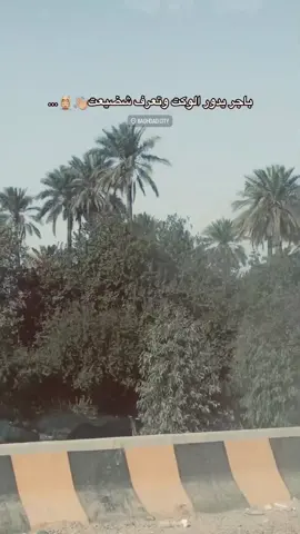 باجر #شعر #سمير_صبيح #جبار_رشيد #explore 