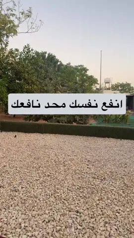 #ابوفهد #حلوالكلام #قصه #قصة #قصص 
