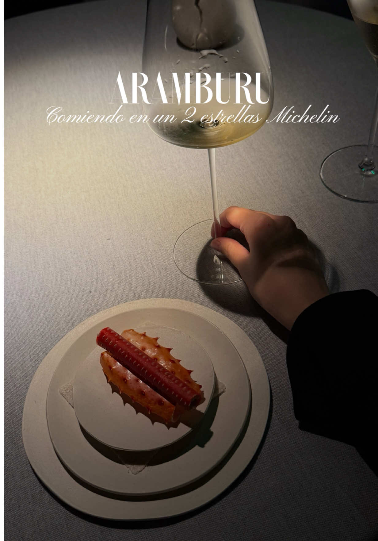 Aramburu Relais & Châteaux 🍷 #Foodie #michelinstar #foodtiktok #comerenbuenosaires 