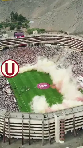 Será porque te amo @Universitario #seraporqueteamo #universitariodedeportes  #viral  #ydaleu  #trincheranorte 