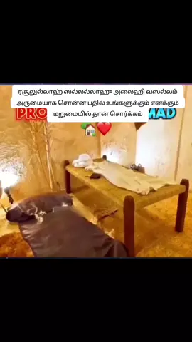 #subhanallah Allah islam #islamic_video #Muhammad saw#viralvideo #foryoupage 