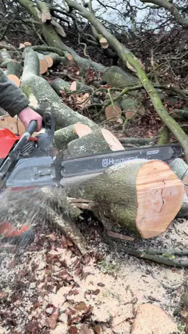 Looking forward to getting back out with the 592xpg this winter🍁🍂 #husqvarna592xpg #husqvarna #fyp #forestlife #treeworker 