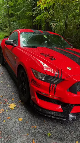 Life in Germany 🇩🇪 #sportscar  #life #europe #germany #SardarHammad 