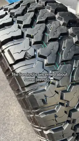 The fender ate and left no crumbs #wides #fyp #thelion 