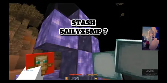 STASH SAILYXSMP #sailyxsmp #Minecraft  #stash #xuhuong #seversmpminecraft