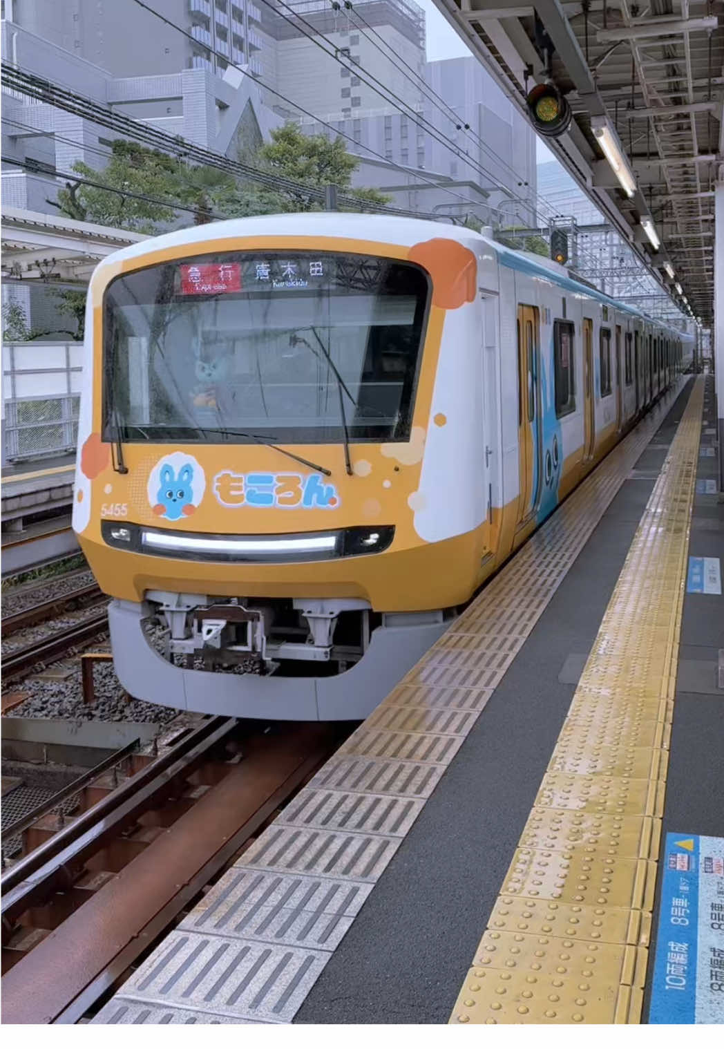 🇯🇵Odakyu Train Passing Minami-Shinjuku Station