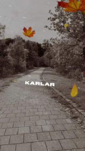 #CapCut #sonbahar #keşfetgor #keşf #fypシ゚viral🖤tiktok☆♡myvideo❤️🥰 